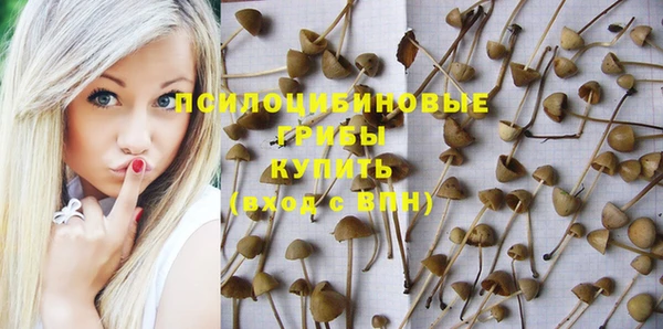 стафф Алексин